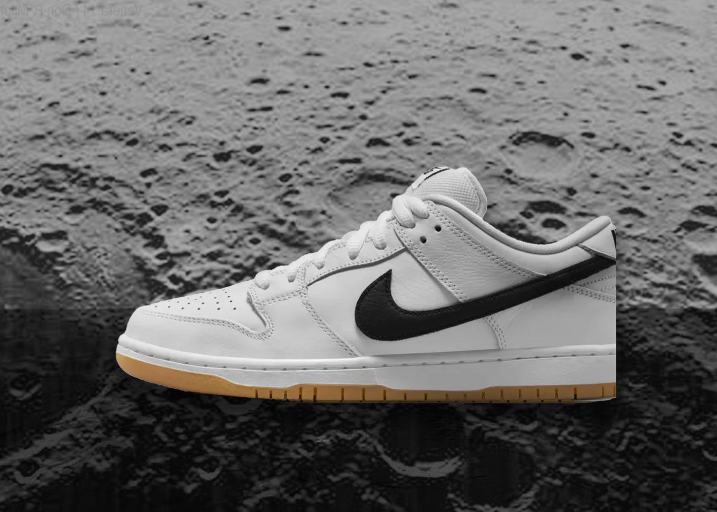 Dunk Low Pro (White/Black)